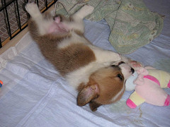 Resize of M2005080904_thumb.jpg